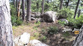 Пасынок, хватит сидеть в номере, пойдем лучше погуляем в лес